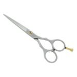 PROFESSIONAL HAIR SCISSORS