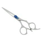 PROFESSIONAL HAIR SCISSORS