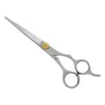 PROFESSIONAL HAIR SCISSORS