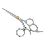 PROFESSIONAL HAIR SCISSORS