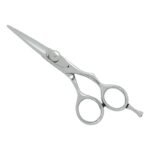PROFESSIONAL HAIR SCISSORS
