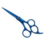 PROFESSIONAL HAIR SCISSORS