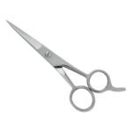 PROFESSIONAL HAIR SCISSORS