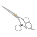 PROFESSIONAL HAIR SCISSORS