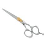 PROFESSIONAL HAIR SCISSORS