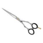 PROFESSIONAL HAIR SCISSORS