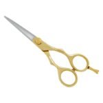 PROFESSIONAL HAIR SCISSORS
