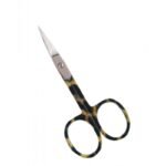 Nail and Cuticle