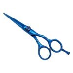 PROFESSIONAL HAIR SCISSORS