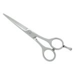 PROFESSIONAL HAIR SCISSORS
