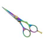 PROFESSIONAL HAIR SCISSORS