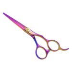 PROFESSIONAL HAIR SCISSORS