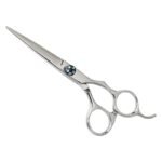 PROFESSIONAL HAIR SCISSORS