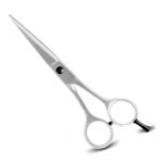 Barber and Dressing Scissors