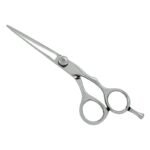 PROFESSIONAL HAIR SCISSORS