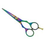 PROFESSIONAL HAIR SCISSORS