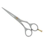 PROFESSIONAL HAIR SCISSORS