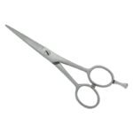 PROFESSIONAL HAIR SCISSORS