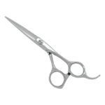 PROFESSIONAL HAIR SCISSORS