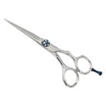 PROFESSIONAL HAIR SCISSORS