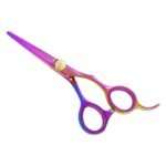 PROFESSIONAL HAIR SCISSORS