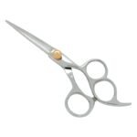 PROFESSIONAL HAIR SCISSORS