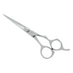 PROFESSIONAL HAIR SCISSORS