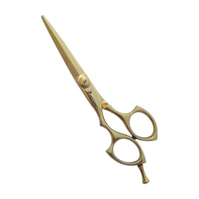 l_21-4071 Titanium coated Hair cutting Scissors - Image 1